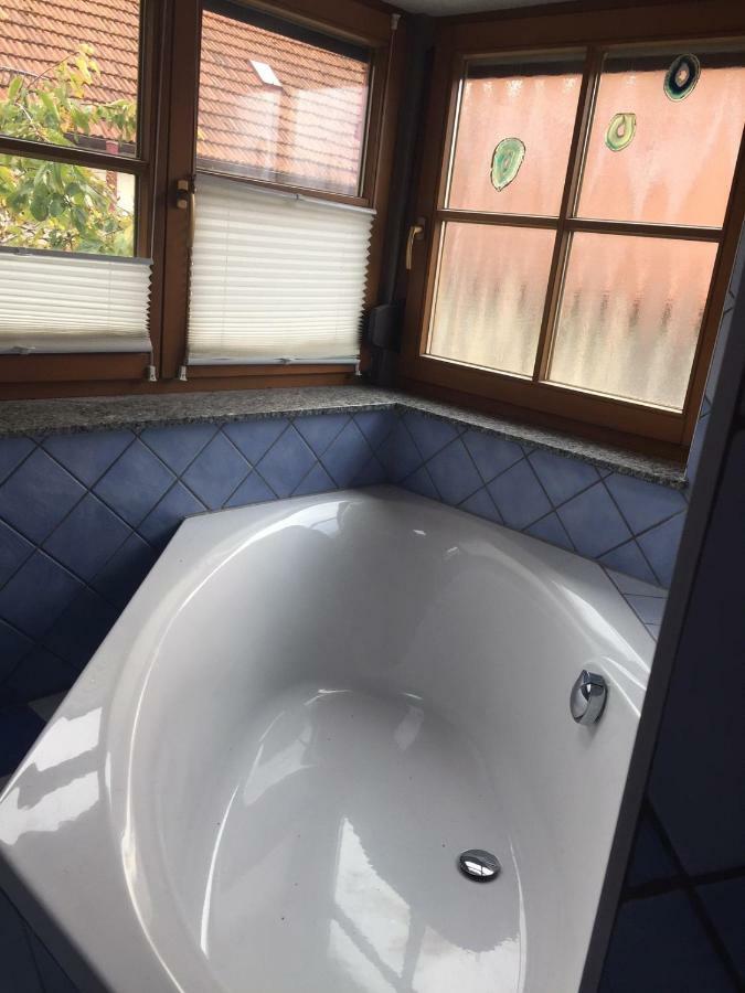 布拉河畔的海登海姆Boardinghouse Schnaitheim别墅 外观 照片